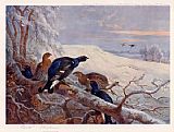 Archibald Thorburn Blackgame in Winter painting
